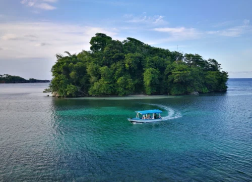 Discover the Real Jamaica: Top Tours with Vern’s Taxi Service