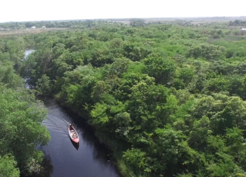 Black River excursion