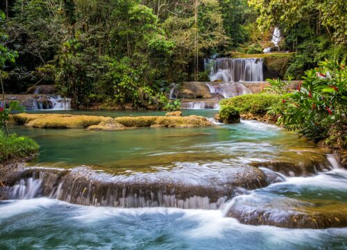 Excursions in Jamaica